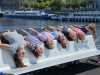 Dance World Cup 2023 in Prag